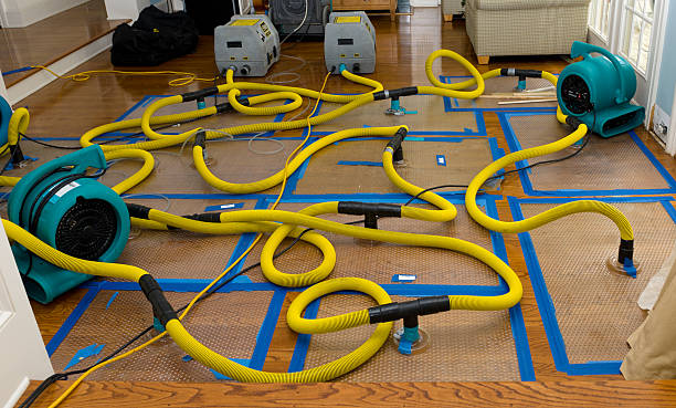 Professional Water Damage Restoration technician working in Benwood, WV